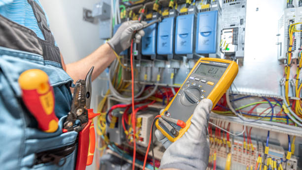Best Electric Panel Repair  in Freeburg, IL